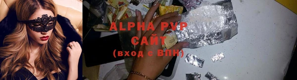 стафф Надым
