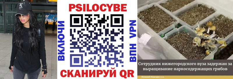 Псилоцибиновые грибы Magic Shrooms  блэк спрут ССЫЛКА  Артём 